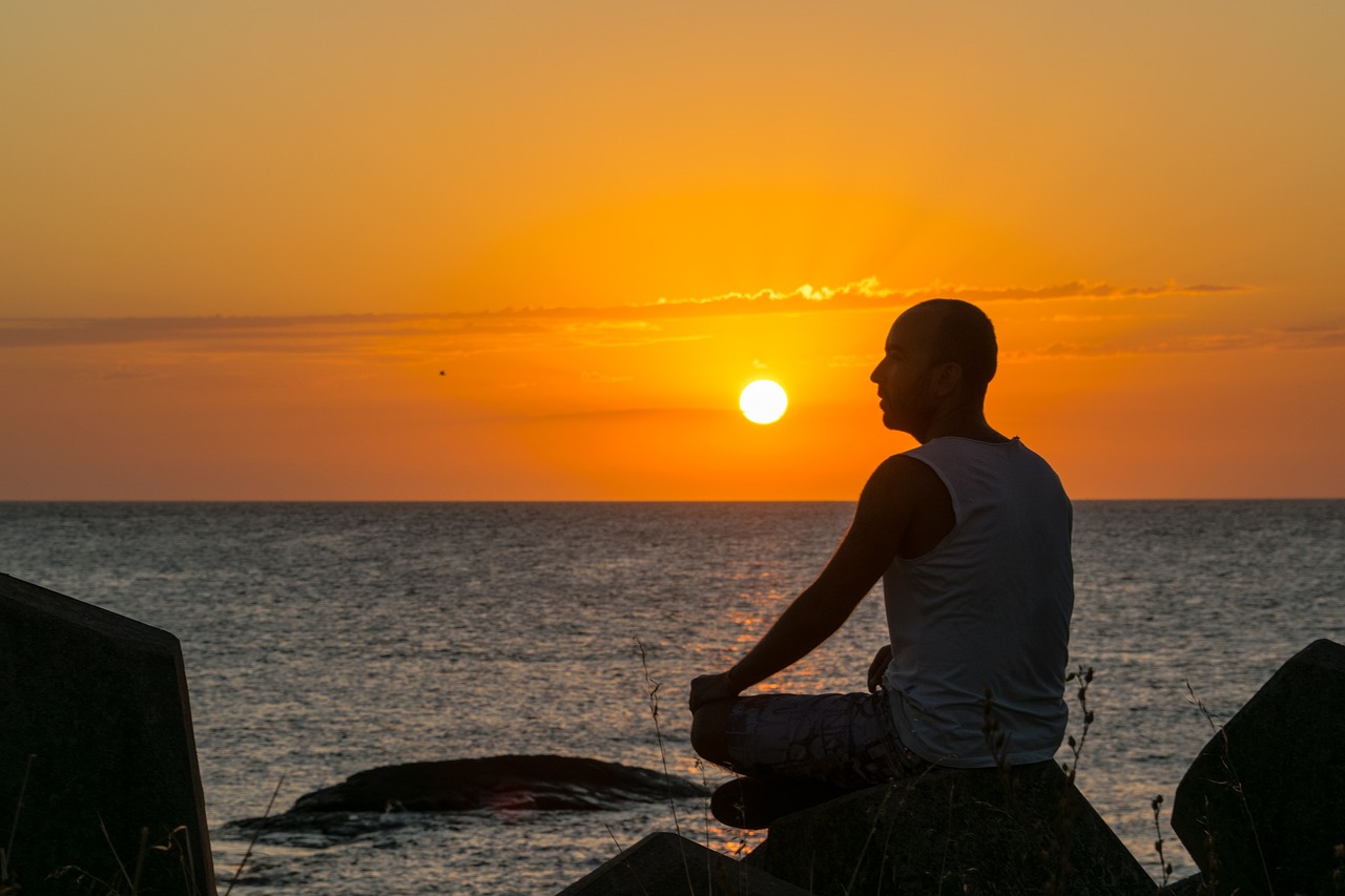 The Difference between Mind and Consciousness